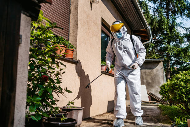 Best Wildlife Control Services  in Woodhaven, MI