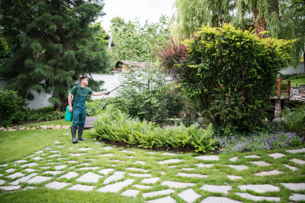 Reliable Woodhaven, MI Pest Control Solutions