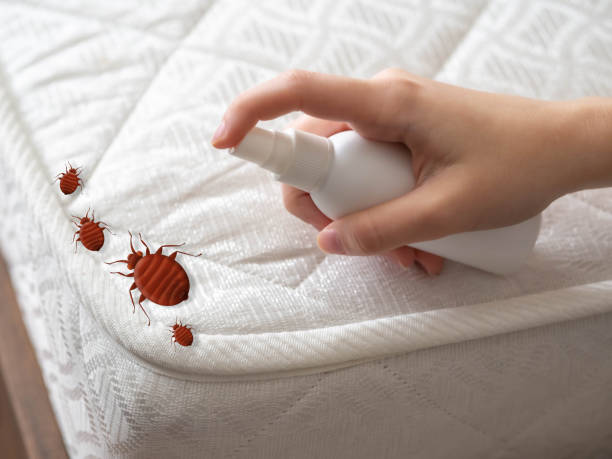 Best Pest Removal Services  in Woodhaven, MI