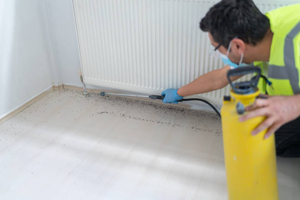Best Flea Control Services  in Woodhaven, MI
